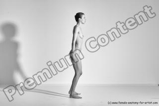 tracey reference 04 81